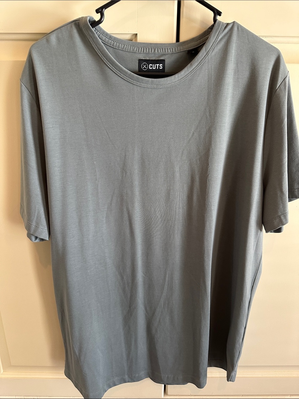 Cuts T-Shirt in Green Sage Gray